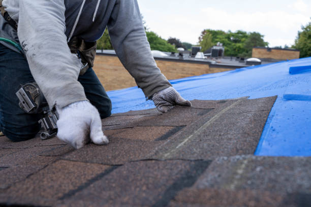 Best Gutter Installation and Roofing  in Camp Barrett, VA